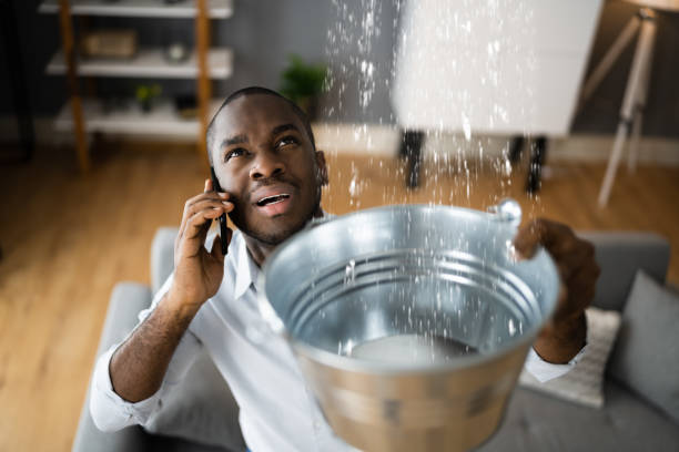 Best 24/7 water damage repair  in King Arthur Park, MT