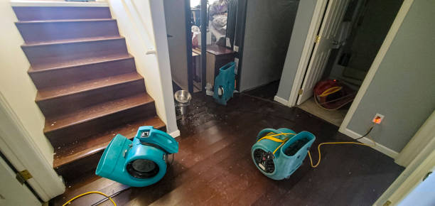 Water damage restoration insurance claims in MT