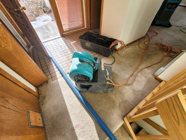 Best Mold removal after water damage  in King Arthur Park, MT