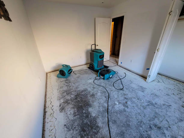 Best Commercial water damage restoration  in King Arthur Park, MT