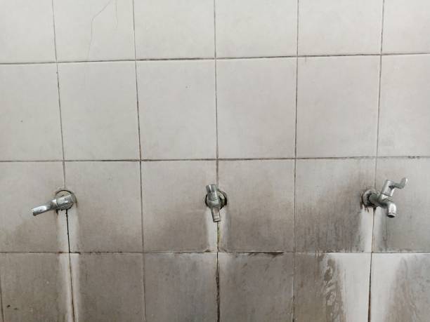 Best Emergency water damage restoration  in King Arthur Park, MT
