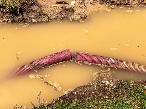 Best Basement water damage restoration  in King Arthur Park, MT