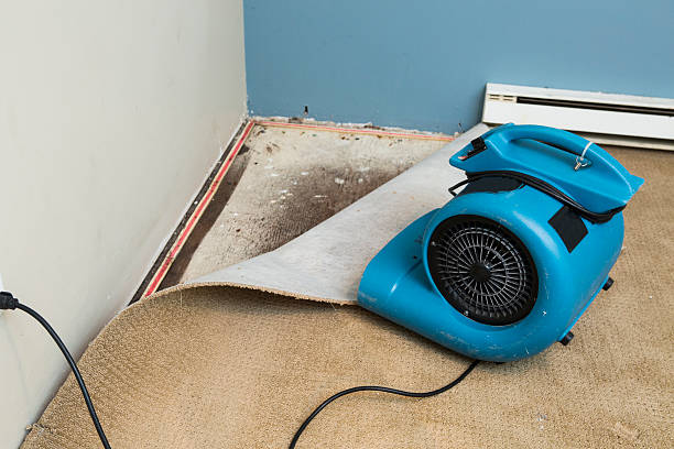 Best Residential water damage restoration  in King Arthur Park, MT